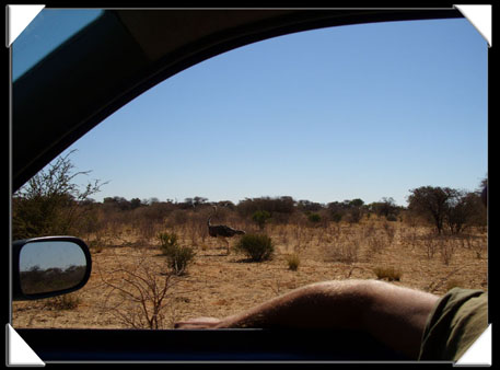  botswana
